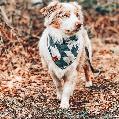 Bandanas