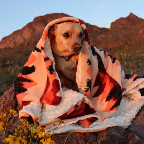 Cozy Dog Blankets