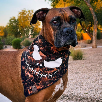 Howl-o-ween
