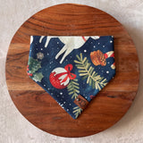 Bauble & Bark // Tie-On Snap Dog Bandana