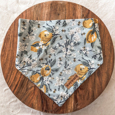 New Heights // Tie On Bandana
