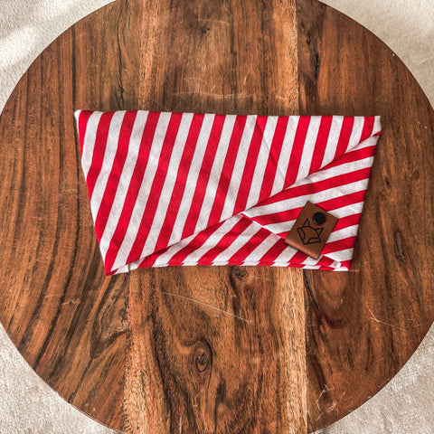 Peppermint //  Christmas "Snood" Pet Infinity Scarf