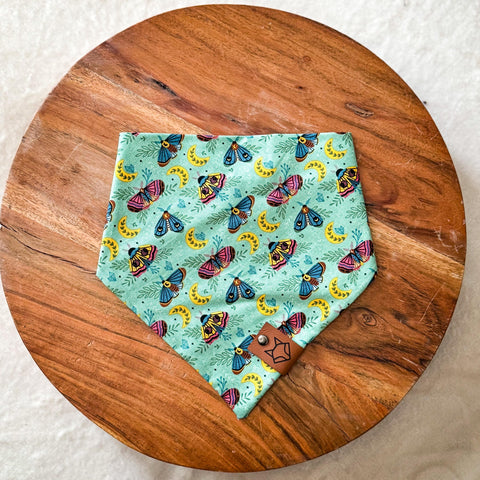 "The Bookish Moth" // Tie-On Snap Dog Bandana