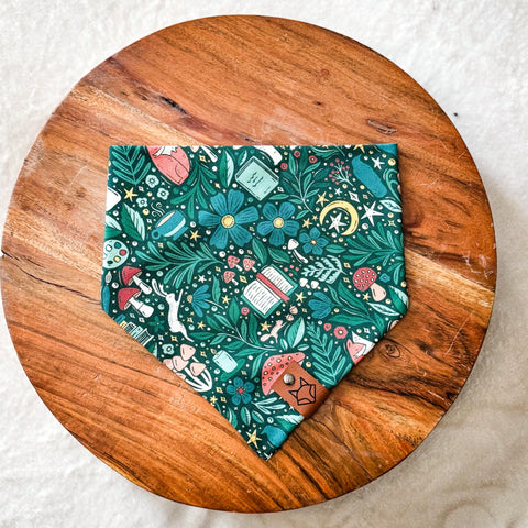 "The Storyteller" // Tie-On Snap Dog Bandana