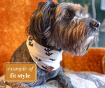 Christmas Pickle // "Snood" Pet Infinity Scarf